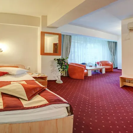 Cornul Vanatorului 3* Piteşti