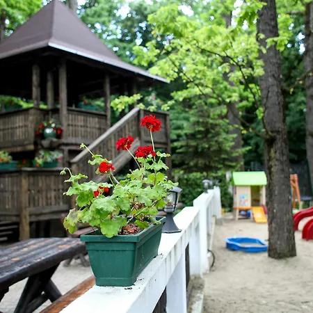 Cornul Vanatorului Hotel